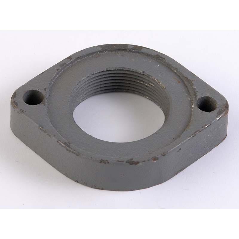 Pentair 10391303 - Flange 2-12