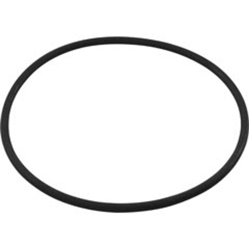 Carvin Strainer Body Main O-Ring