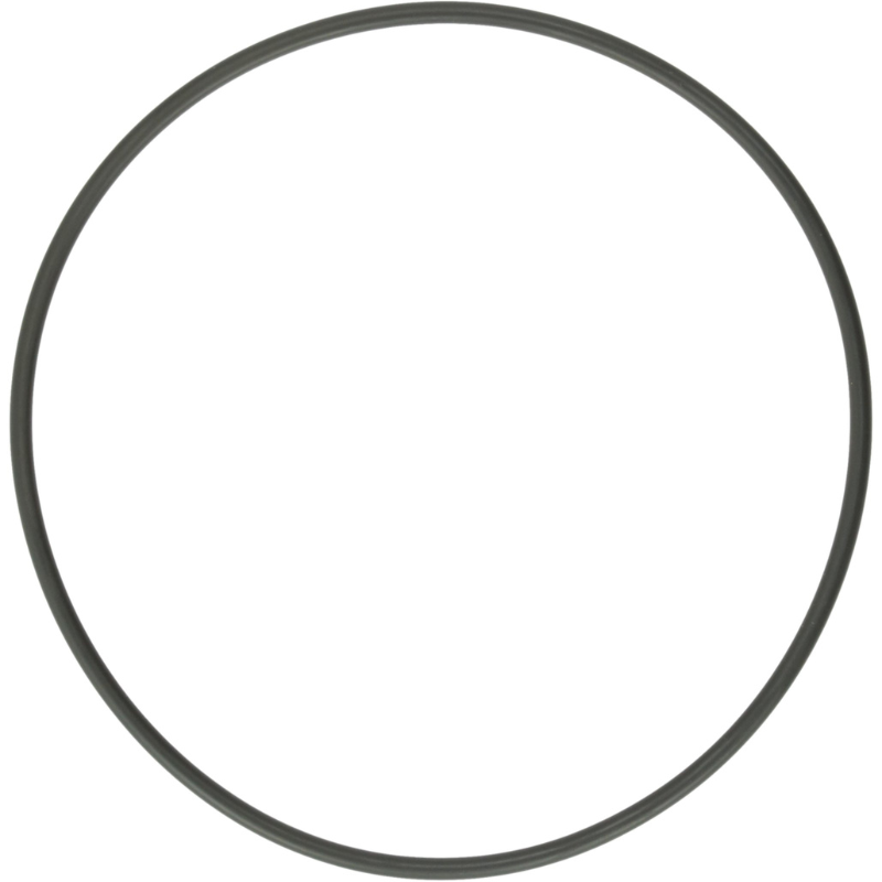 Pentair 111P2700 - O-Ring Sleeve Sshm-2