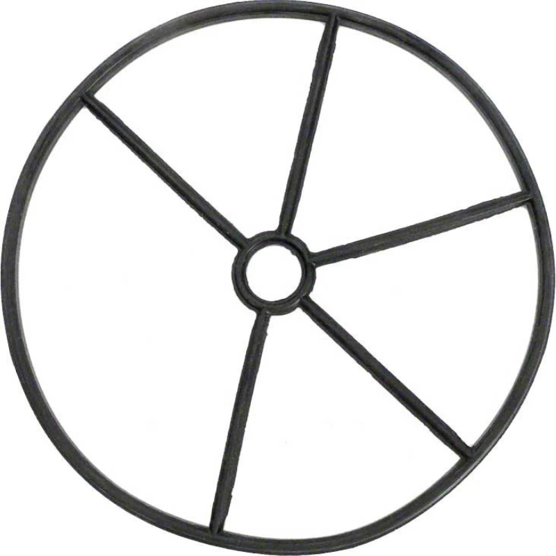 Pentair 14971-0005 - Gasket Valve Seat Spider