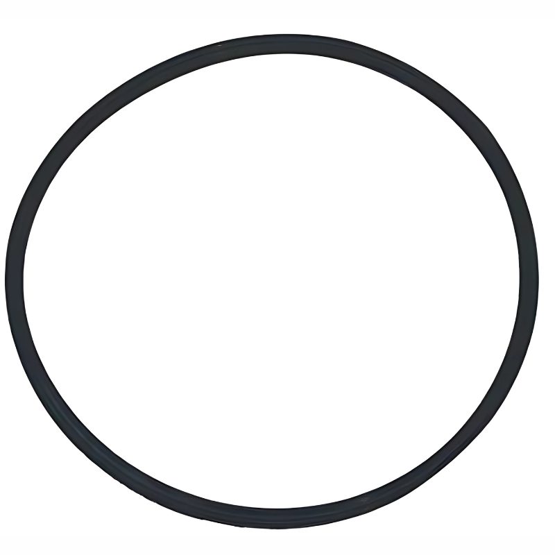 Pentair 152516 - O-Ring Small Closure Quad 362