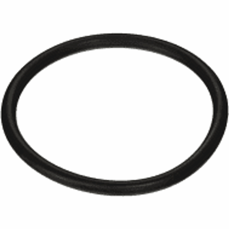 Pentair 154492 / 154492Z - O-Ring 3/16
