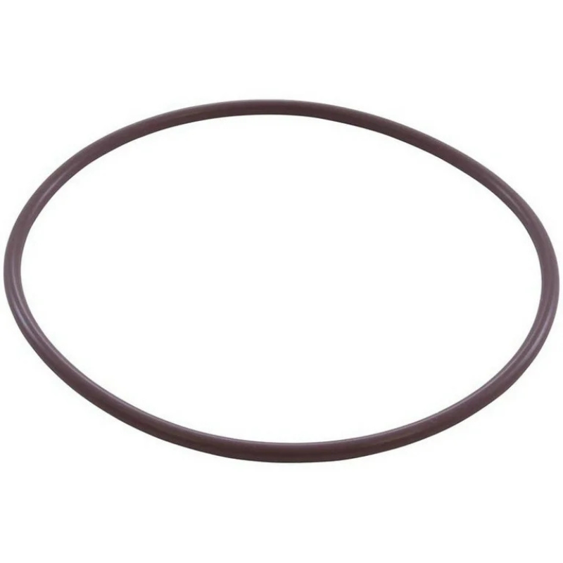 Pentair 16920-0012 - O-Ring #2-359 70 Duro