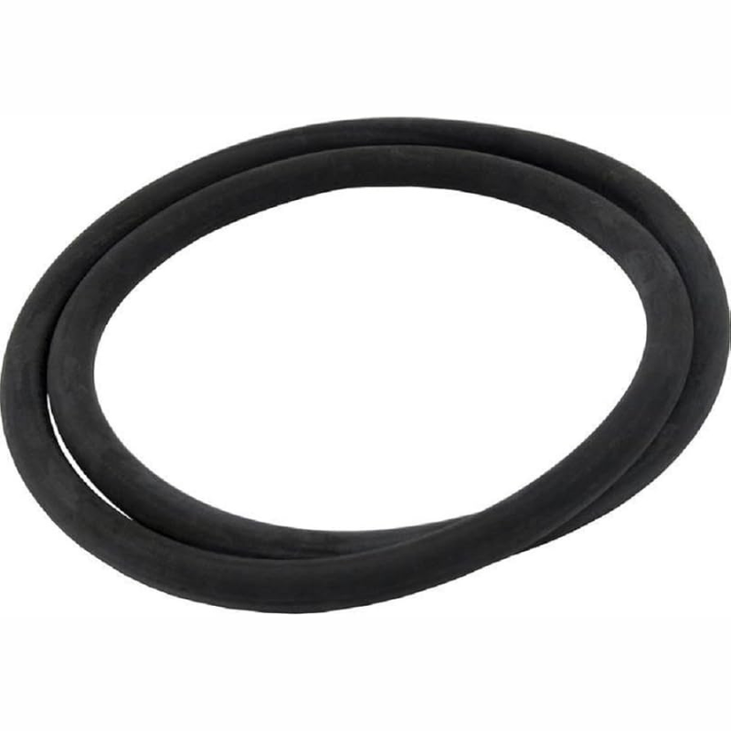Pentair 174704 - O-Ring 12