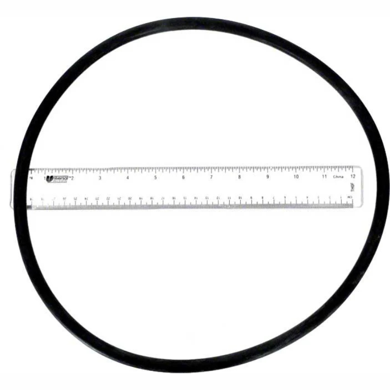 Pentair 174704 - O-Ring 12