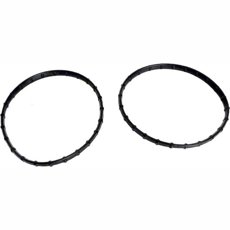 Pentair 178746Z - Kit Seal Diamond 2.403 Replacement