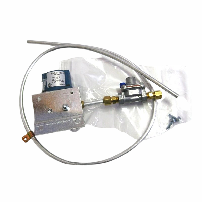 Pentair 20301101 - Pilot Gas Assembly