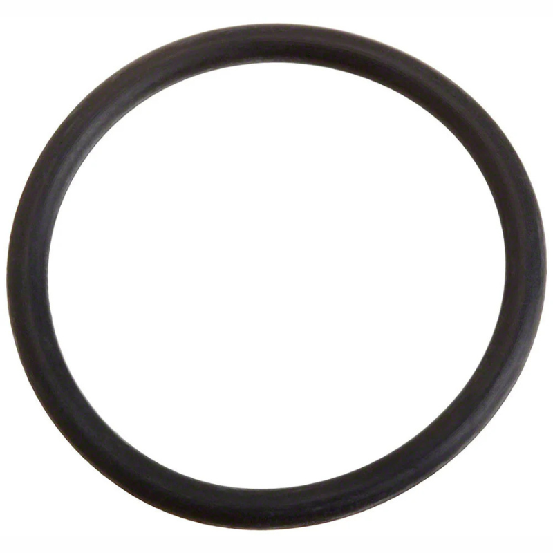 Pentair 23502000 - O-Ring 2-122 50Sh Fo