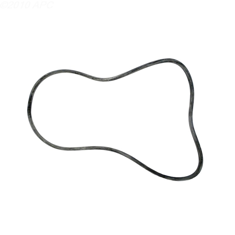 Pentair 24700-0072 - O-Ring 20