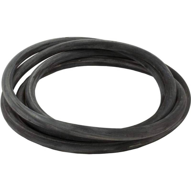 Pentair 24751-0005 - O-Ring 24
