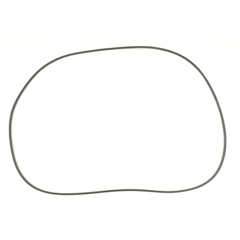 Pentair 24751-0006 - Crd Ring Filter Tank