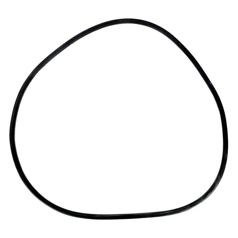 Pentair 24752-0006 - Crd Ring Filter Tank