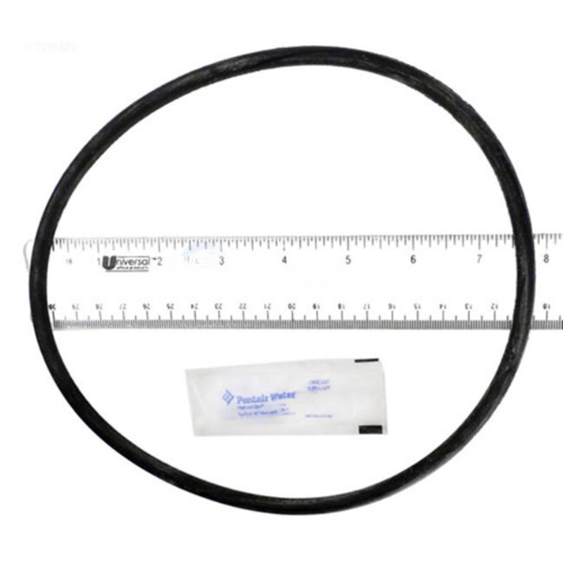 Pentair 25200-0011S - O-Ring Service Kit Prc