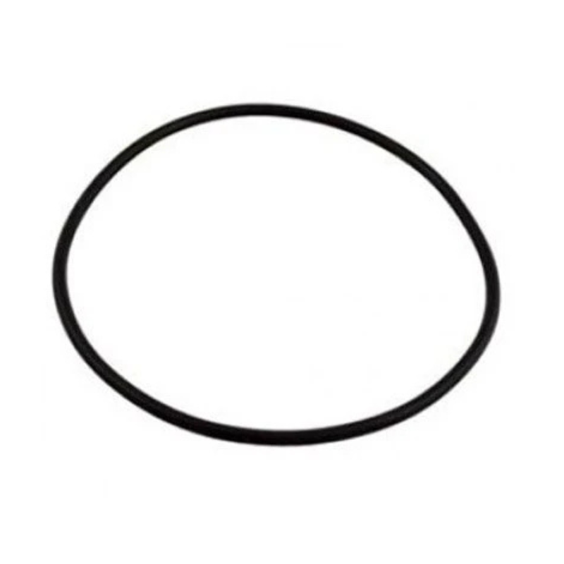 Pentair 25230-0010S - O-Ring Tank Pxc