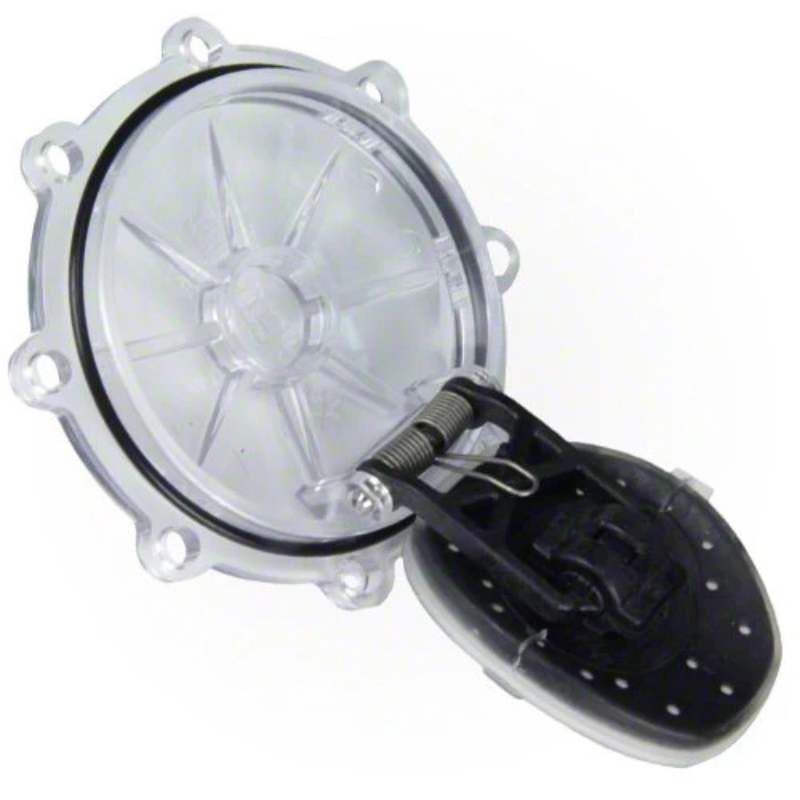 Pentair 263042Z - Kit Valve Check 2Way 2