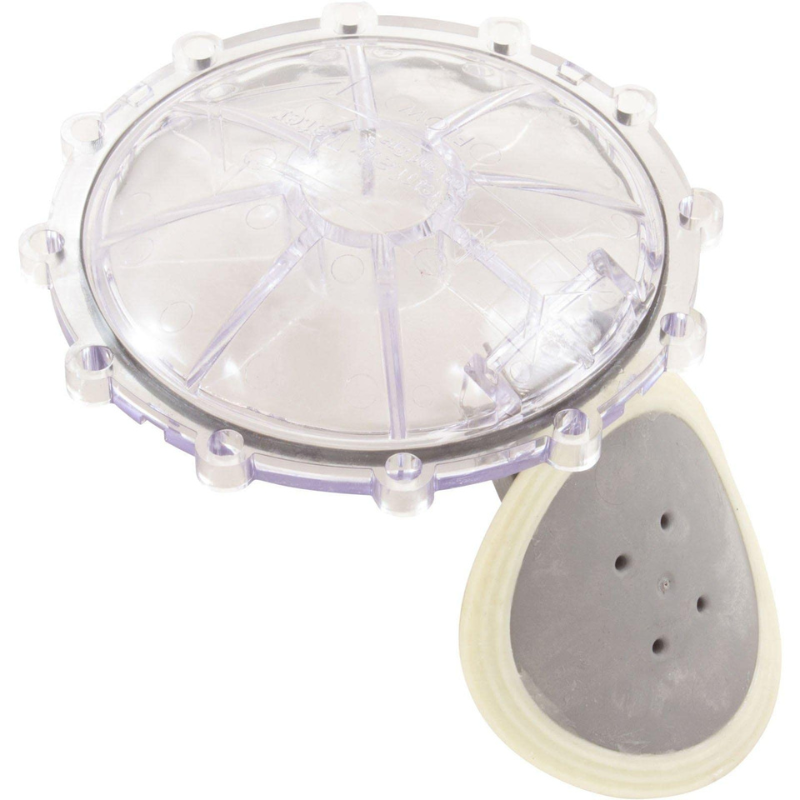 Pentair 270119Z - Flapper Check Valve Replacement