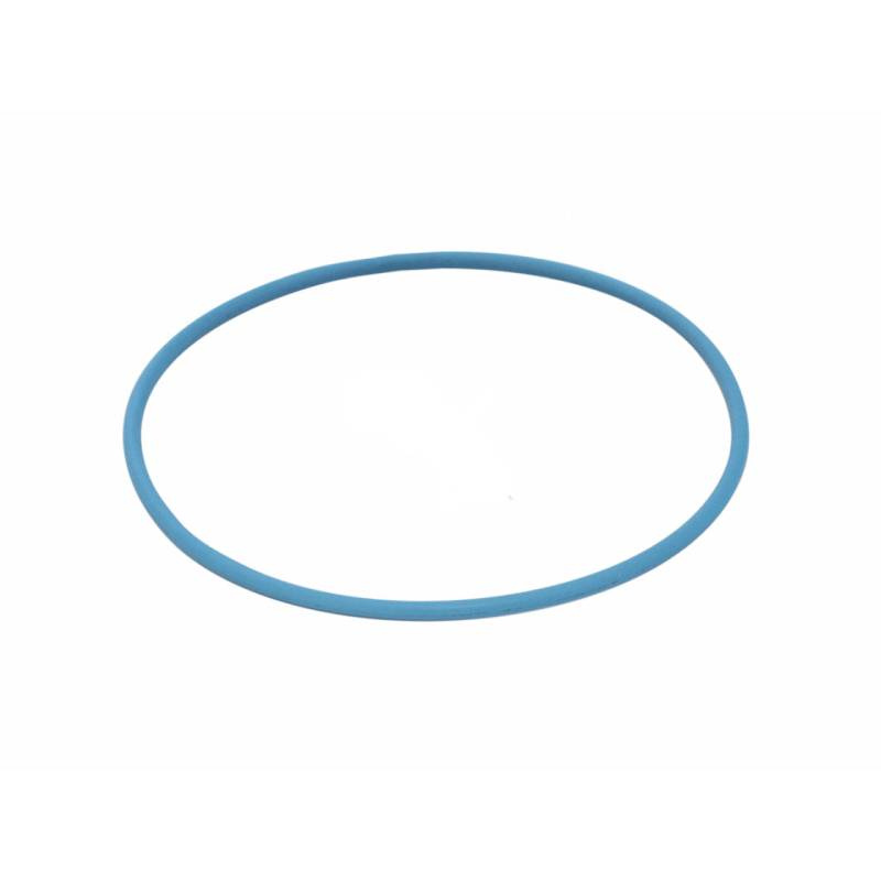 Pentair 270197Z - O-Ring 2-243 Blue Replacement