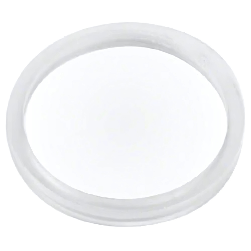 Pentair 271073Z - Spacer O-Ring Replacement