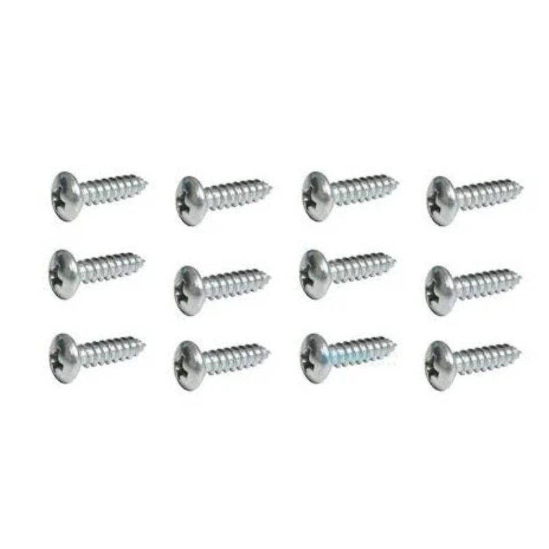 Pentair 271077Z - Screw .25X1L Hilo Replacement Pan Phil Hd 304Ss 18-8