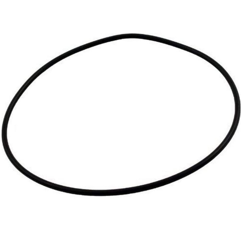 Pentair 271103 - O-Ring Praher