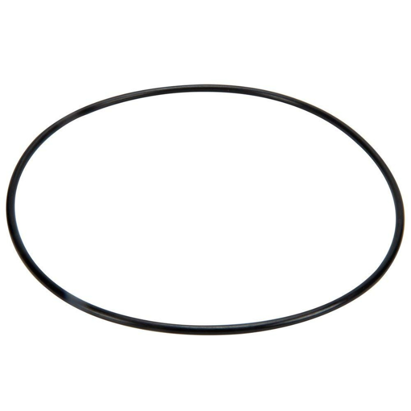 Pentair 271151 - Cover O-Ring 172X4 Epdm 70A E7