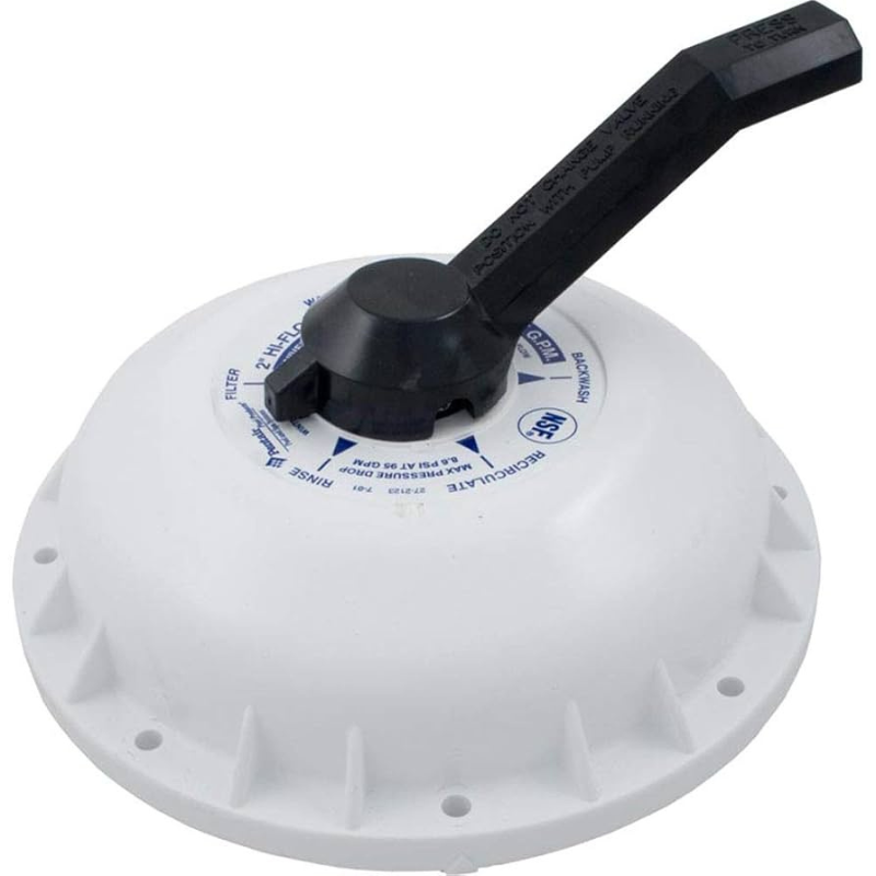 Pentair 272422 - Valve Top Assembly Replacement