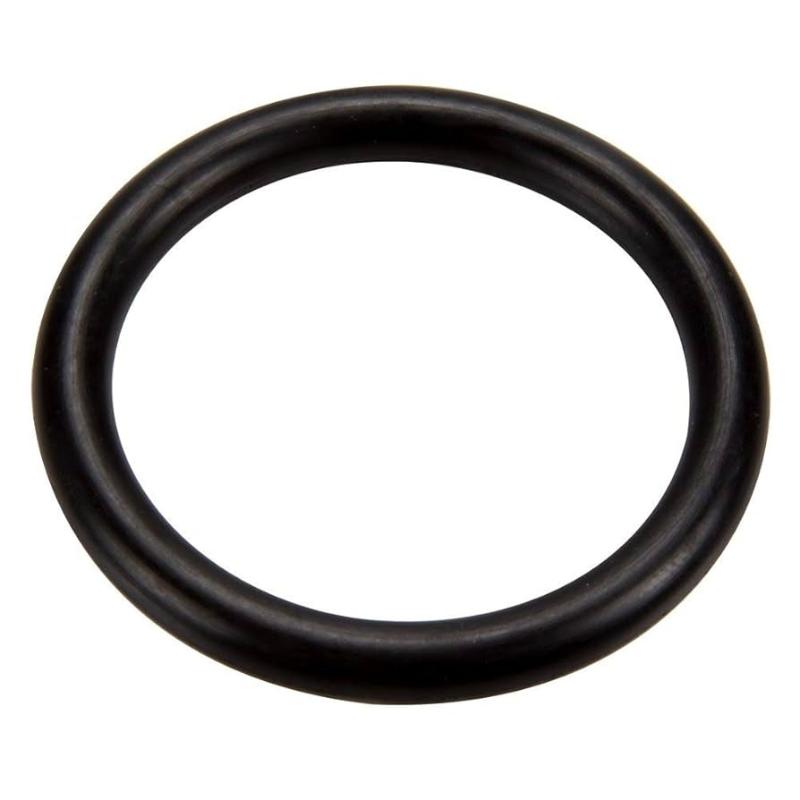 Pentair 273090 - O-Ring Seal 1.5