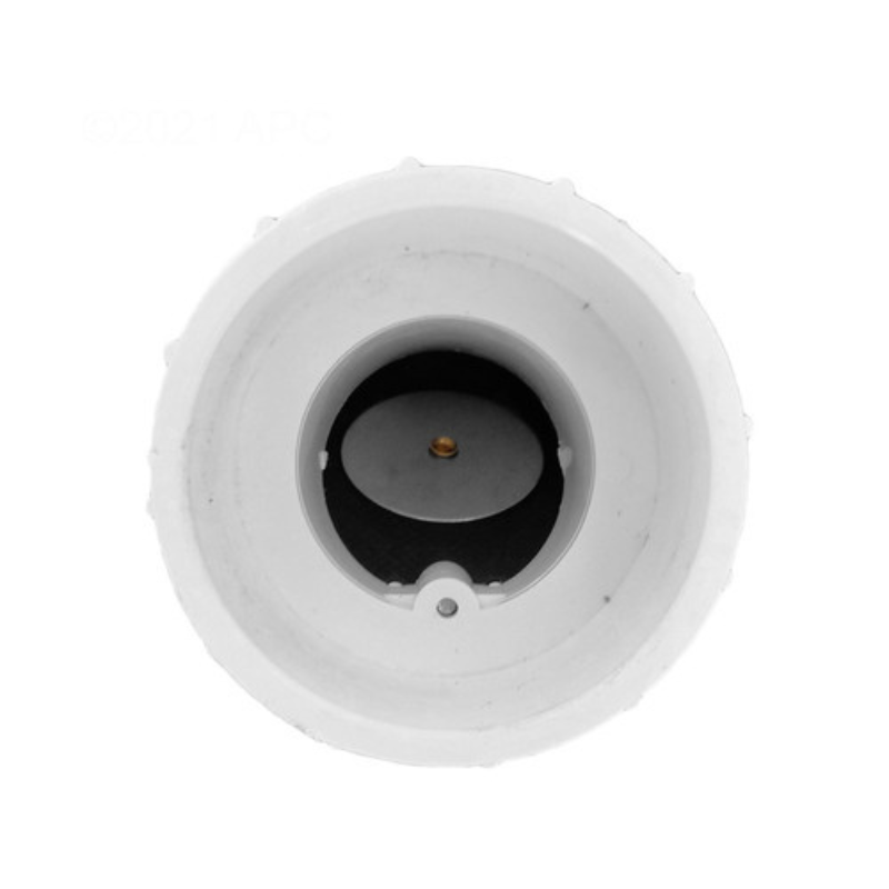 Pentair 274725 - Union 2