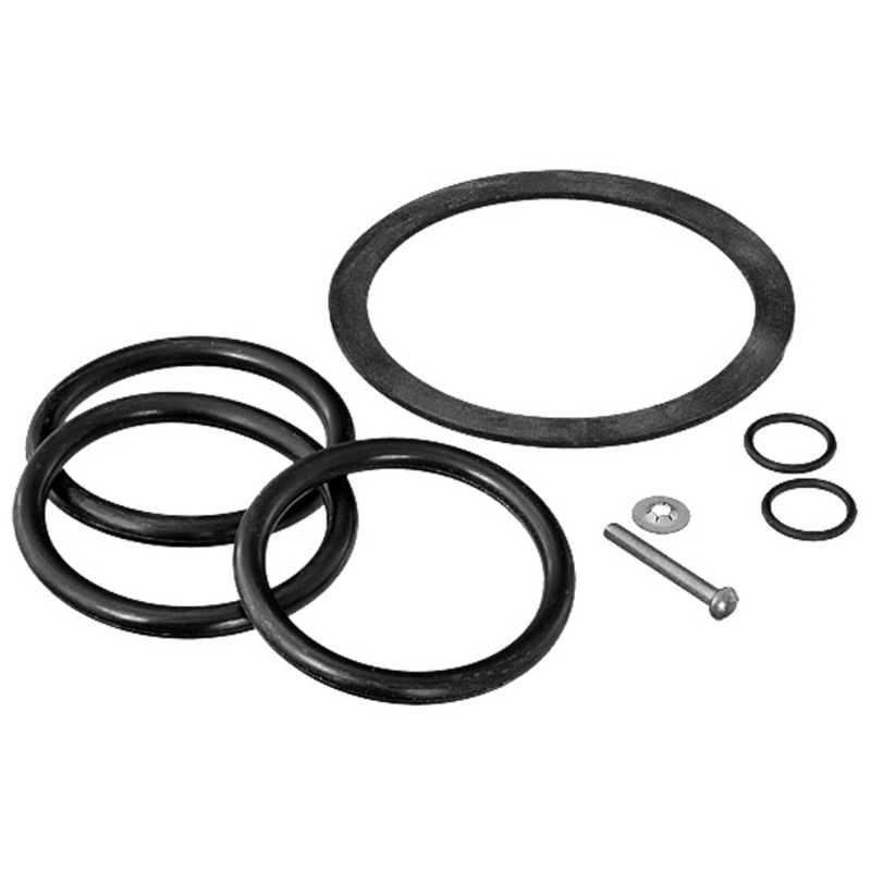 Pentair 31B0024 - O-Ring Replacement Kit