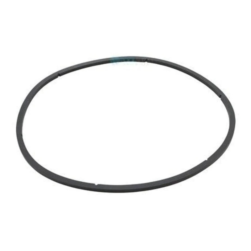 Pentair 350166 - Gasket Eq Lid