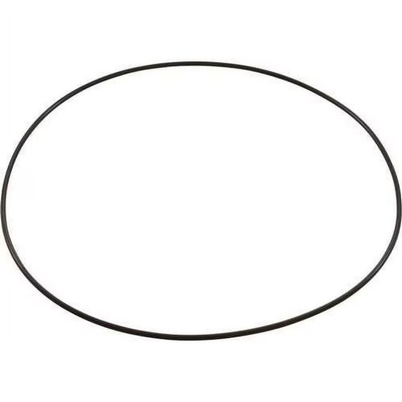 Pentair 35505-1412 - Lid O-Ring #2-168