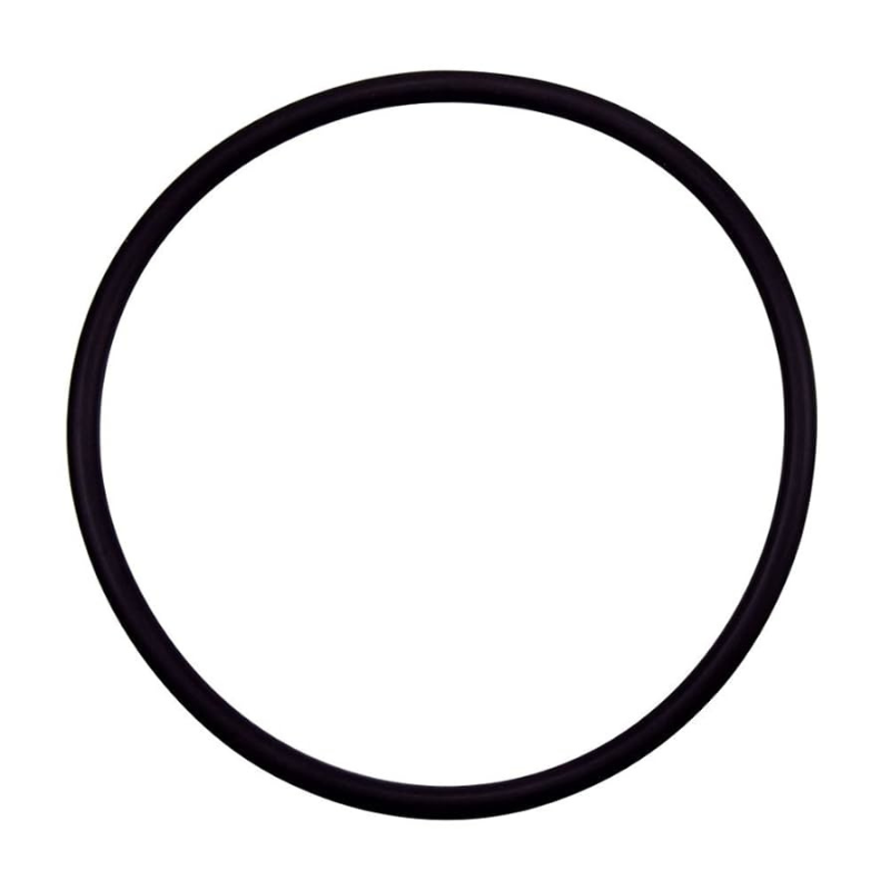 Pentair 355331 - O-Ring 2-233 Diffuser