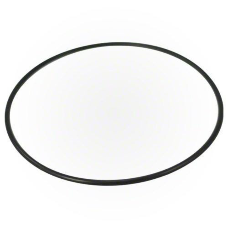 Pentair 356780Z - O-Ring 3/8