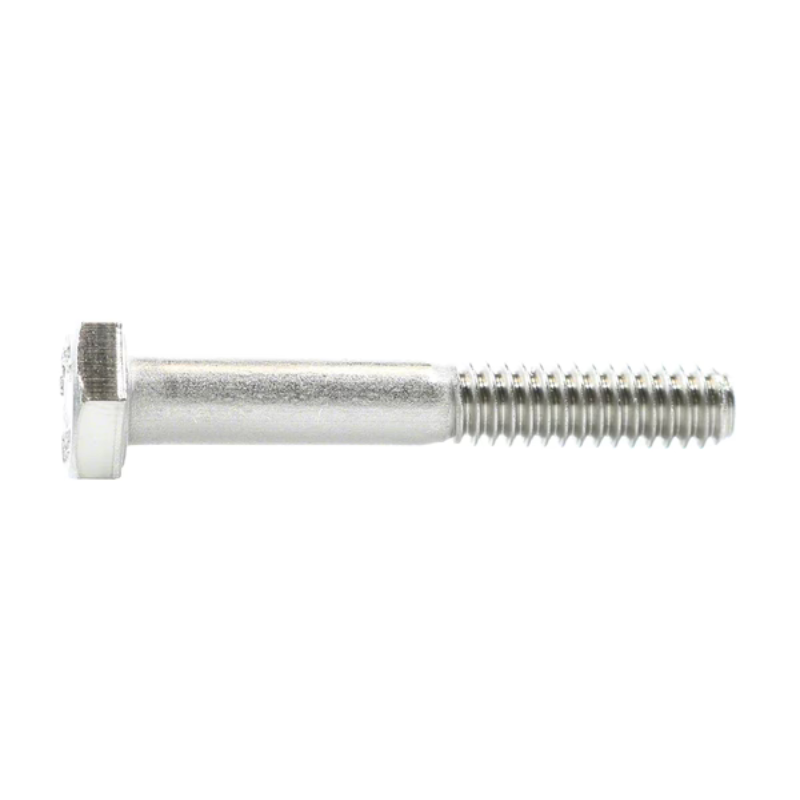 Pentair 356797 - Screw 1/4 20X1 3/4 Heat Exchange Hd Cap
