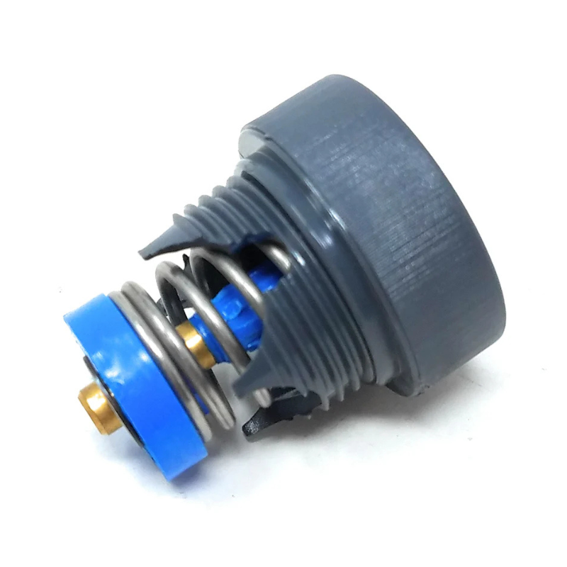 Pentair 360025 - Fitting Wall Valve Assembly Replacement