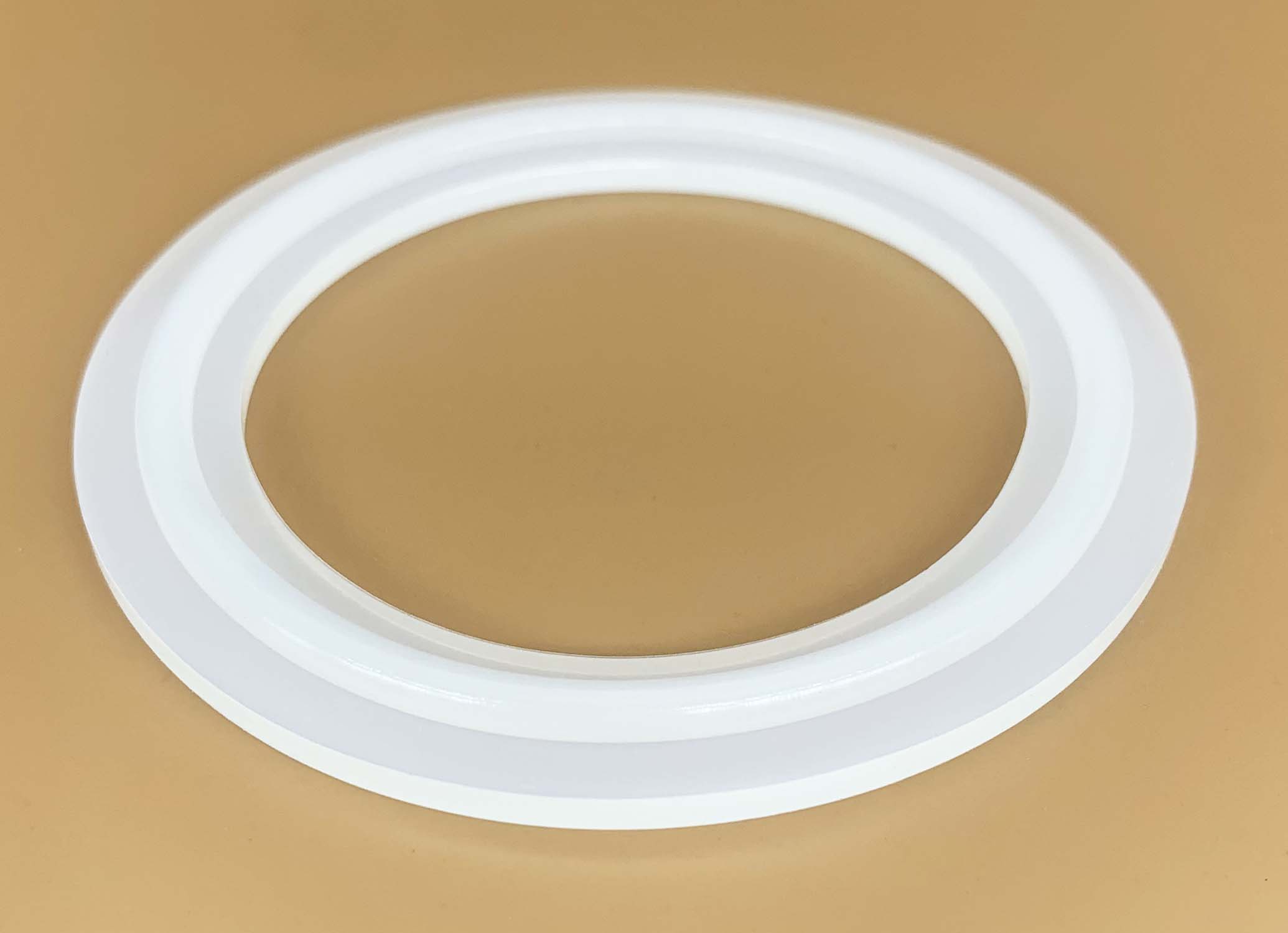 Waterway - 2 inch Gasket with Embedded O-Ring