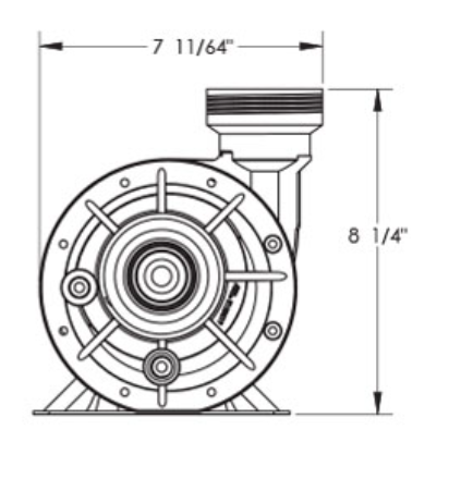 Waterway Hi-Flo II Pump