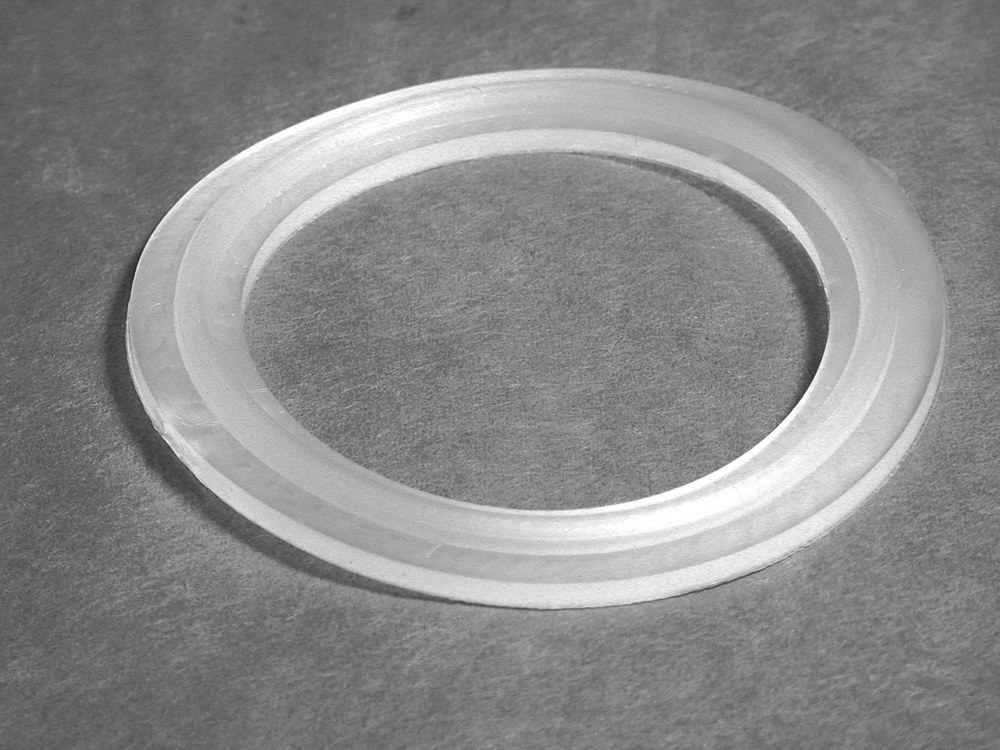 Waterway - 2 inch Gasket with Embedded O-Ring