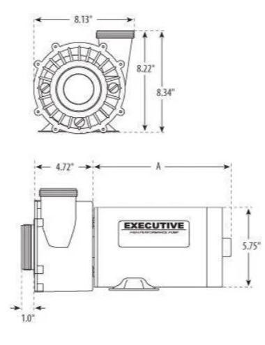 Waterway Executive 3 HP Pump