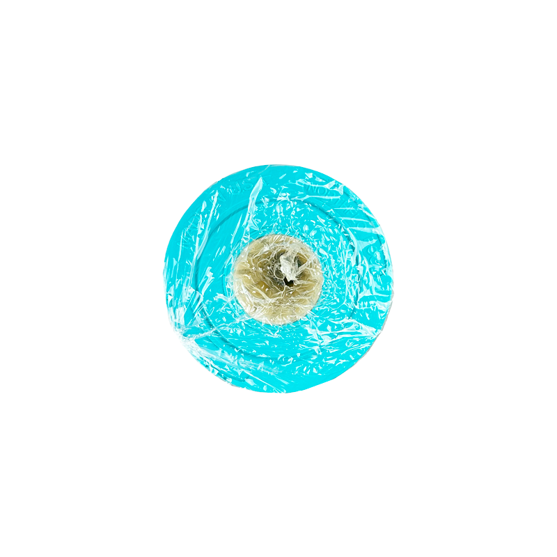 NorthFlo Coast Spas Cartridge Element - Replaces PCST120 - Single Replacement Filter