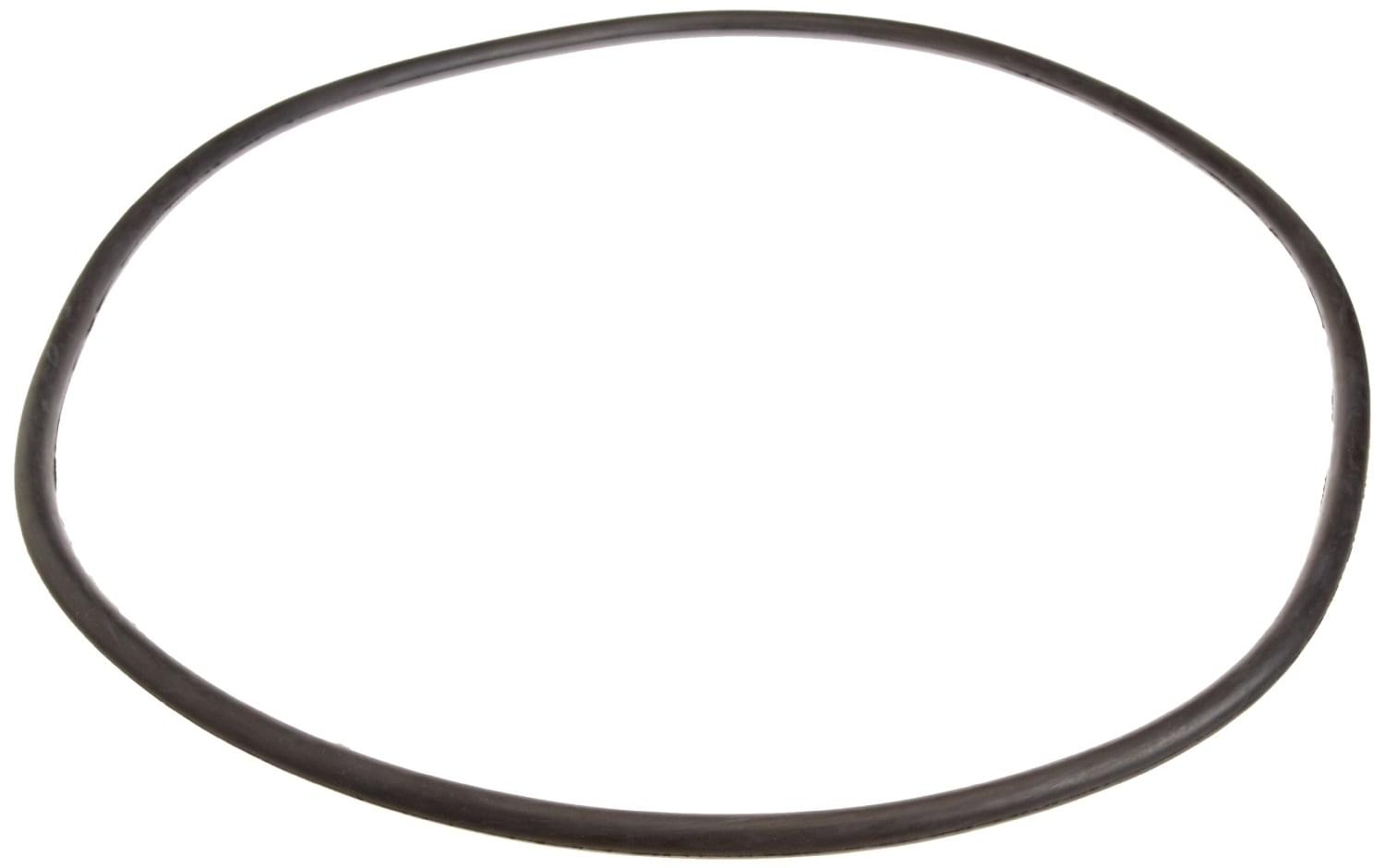 Pentair 248500008 - 21 Inch Cord O-Ring for Tank Replacement 