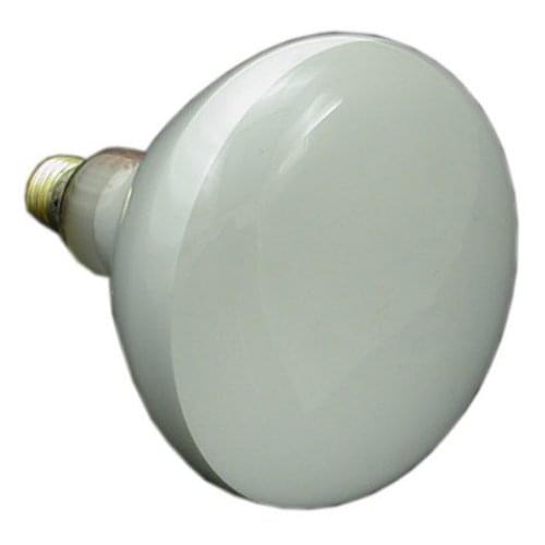 Zodiac R0450502 - Flood Lamp 300W 120V Large White Light