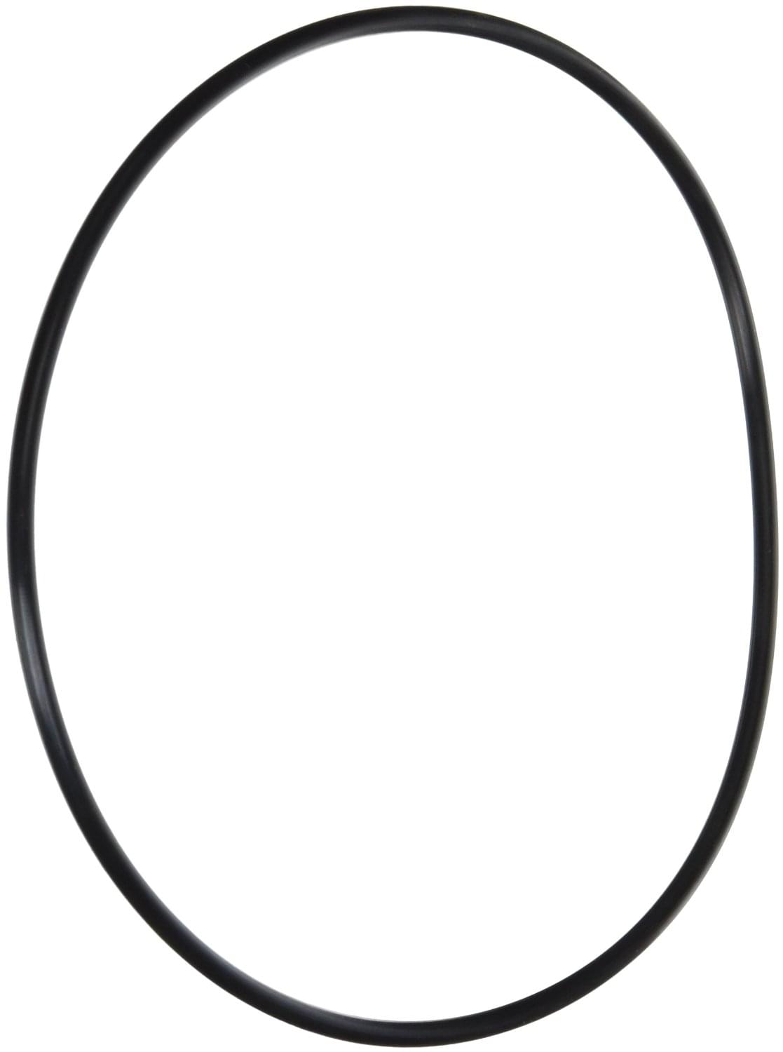 Pentair 154493 - O-Ring Closure Replacement 