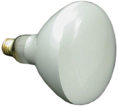 Discontinued Pentair 79107600 - Replacement Bulb, 300 Watts 120 Volts