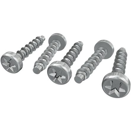 Hayward 35mm Screw - Pack of 5