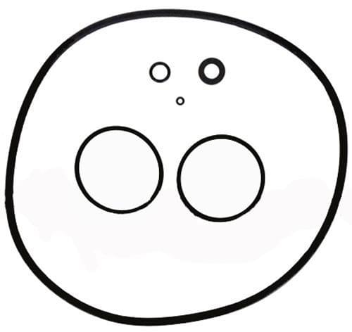 Jandy R0466300 - Ensemble de joints toriques