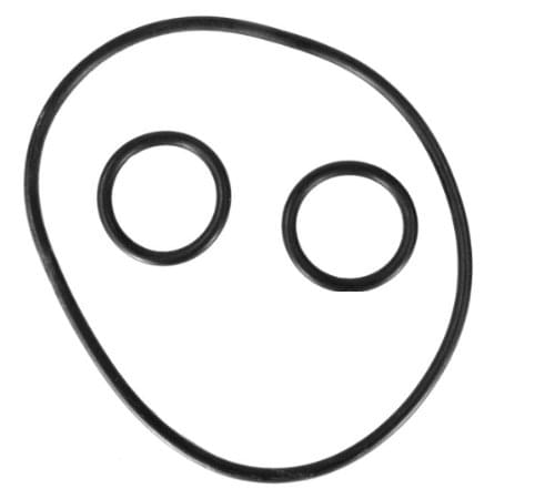 Hayward PSXVZ2A - Key and Cover O-Ring Kit