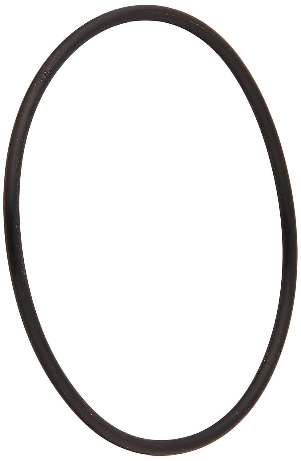 Pentair 192320 - O-Ring Bulkhead