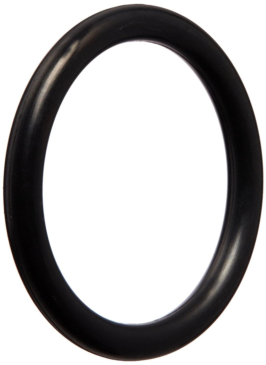 Discontinued Pentair 355051313 - O-Ring