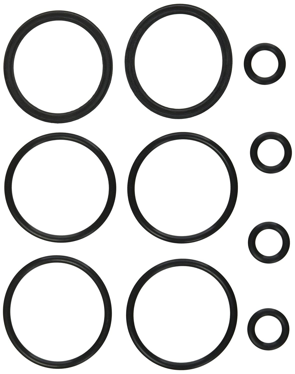 Hayward Header O-Ring Kit
